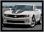 Chevrolet Camaro, Szary