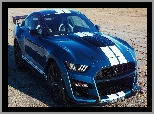 Ford Mustang Shelby GT500, 2019